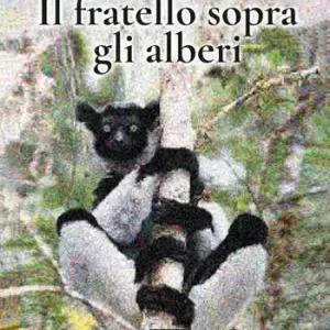 Il fratello sopra gli alberi Compra Online