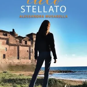 Professionale Sotto un cielo stellato