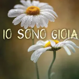 Io sono Gioia Spedizione Espresso