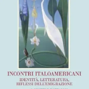 Miglior Prezzo Incontri italoamericani. Identità, letteratura, riflessi dell‘emigrazione