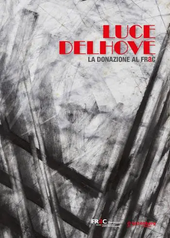 Prezzo Di Fabbrica Luce Delhove. La donazione al FRaC