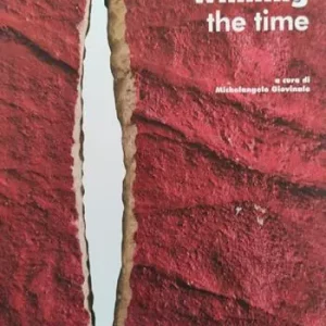 Diana D‘Ambrosio. Winning the time. Ediz. italiana e inglese Non Perdere