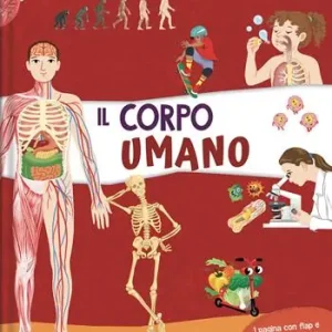 Compra Online Il corpo umano. Ediz. a colori