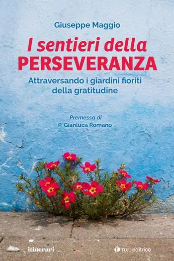 Il sentieri della perseveranza. Attraversando i giardini fioriti della gratitudine Bestseller