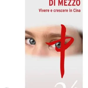 Spedito Oggi Italiani di mezzo. Vivere e crescere in Cina