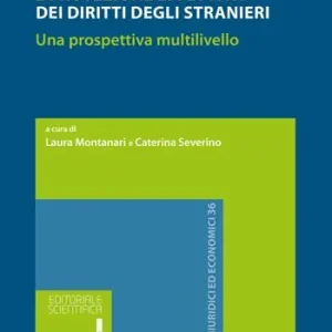 Sistemi di welfare e protezione effettiva dei diritti degli stranieri. Una prospettiva multilivello Must-Have