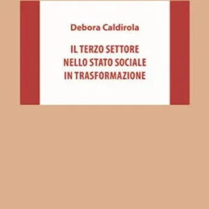 Spedizione Espresso Il Terzo settore nello Stato sociale in trasformazione