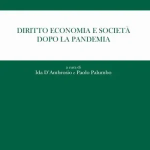 Compra Adesso Diritto, economia e società dopo la pandemia