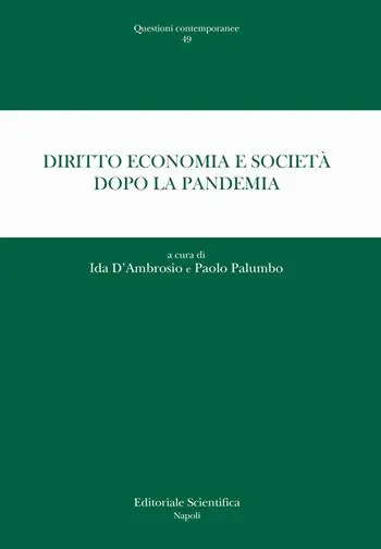 Compra Adesso Diritto, economia e società dopo la pandemia