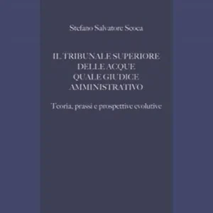 Soddisfatti O Rimborsati Il tribunale superiore delle acque quale giudice amministrativo. Teoria, prassi e prospettive evolutive