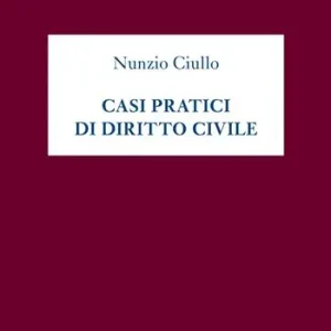 Casi pratici di diritto civile Ultimissimo Modello