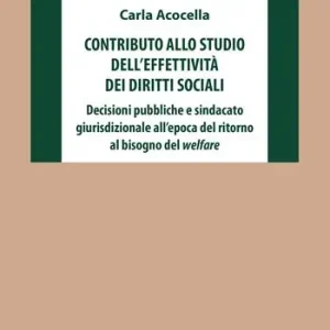 Contributo allo studio dell‘effettività dei diritti sociali. Decisioni pubbliche e sindacato giurisdizionale all‘epoca del ritorno al bisogno del welfare Compra Adesso