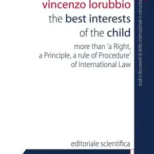 The best interests of the child. More than «a right, a principle, a rule of procedure» of international law Bestseller