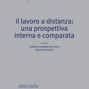 Il lavoro a distanza una prospettiva interna e compatta Soddisfatti O Rimborsati