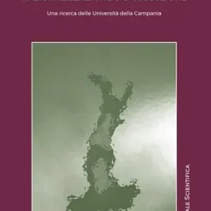 Solo Oggi Regionalismo differenziato razionalizzazione o dissoluzione. Una ricerca delle Università della Campania