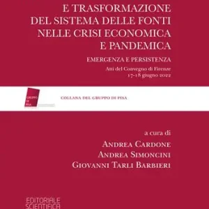 Modello costituzionale e trasformazione del sistema delle fonti nelle crisi economica e pandemica. Emergenza e persistenza Nuova Collezione