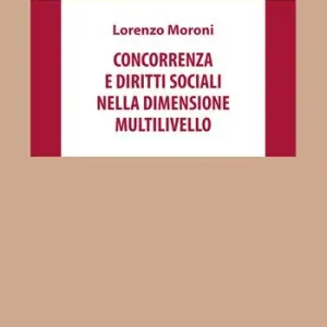 Concorrenza e diritti sociali nella dimensione multilivello Must-Have
