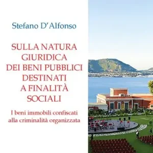 Solo Oggi Sulla natura giuridica dei beni pubblici destinati a finalità sociali. I beni immobili confiscati alla criminalità organizzata