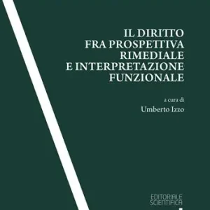 Compra Online Il diritto fra prospettiva rimediale e interpretazione funzionale