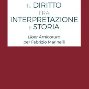 Professionale Il diritto fra interpretazione e storia