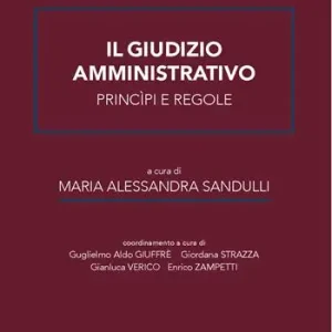 Occasione Imperdibile Il giudizio amministrativo