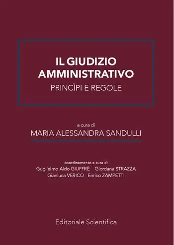 Occasione Imperdibile Il giudizio amministrativo