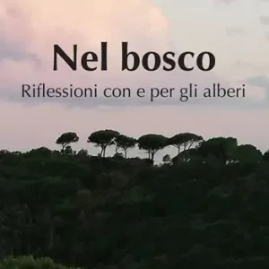 Nel bosco. Riflessioni con e per gli alberi Reso Gratuito