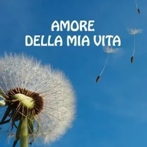 Amore della mia vita Prezzo Conveniente