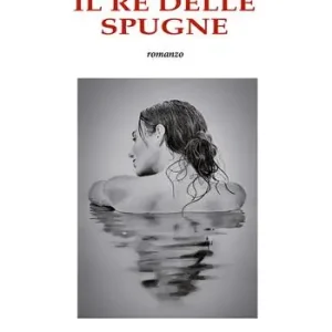 Re di spugne Prezzo Ridotto