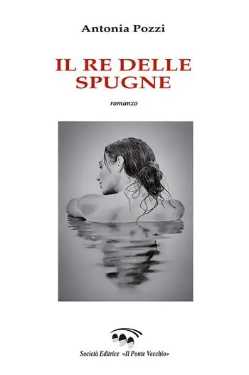 Re di spugne Prezzo Ridotto