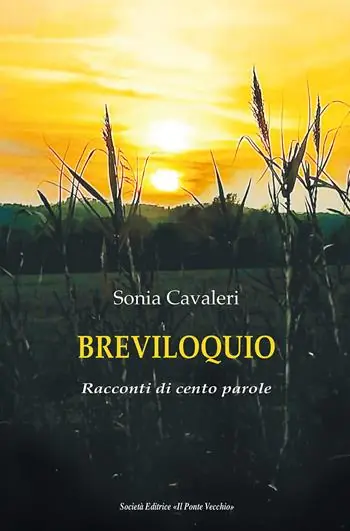 Compra Adesso Breviloquio. Racconti di cento parole