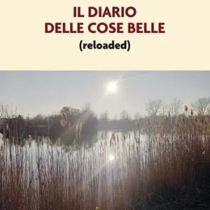 Il diario delle cose belle (reloaded) Professionale