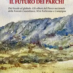 Promozione Esclusiva Il futuro dei parchi