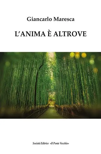 Occasione L‘anima è altrove