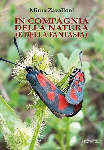 Offerta Speciale In compagnia della natura (e della fantasia). Ediz. illustrata