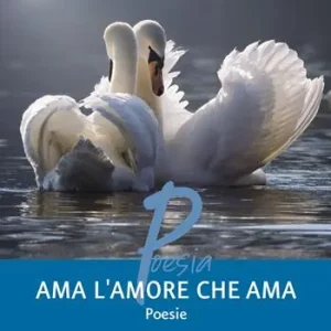 Professionale Ama l‘amore che ama
