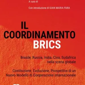 Il coordinamento BRICS. Brasile, Russia, India, Cina, Sud Africa nella scena globale Affare