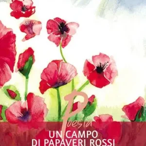 Un campo di papaveri rossi Spedito Oggi