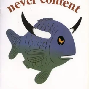 Never content Novità