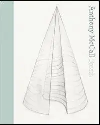 Anthony McCall. Breath [The vertical works]. Ediz italiana e inglese. Ediz. bilingue Prezzo Ridotto