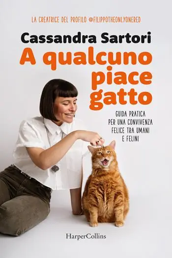 A qualcuno piace gatto. Guida pratica per una convivenza felice tra umani e felini Solo Oggi