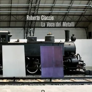 Ultime Pezzi Roberto Ciaccio. La voce dei metalli. Ediz. a colori