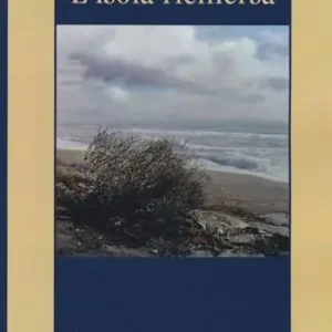 Prezzo Conveniente L‘isola riemersa