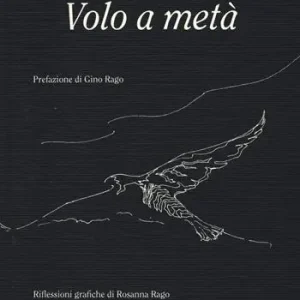 Quantità Limitata Volo a meta