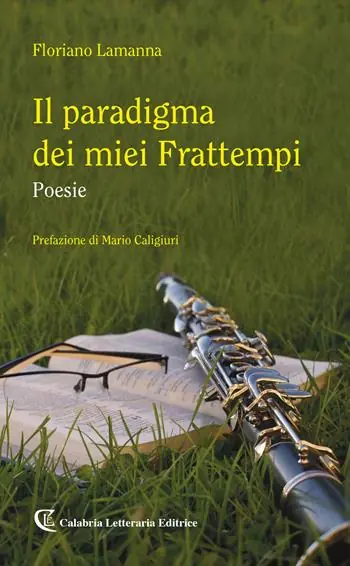 Il paradigma dei miei frattempi Offerta Limitata