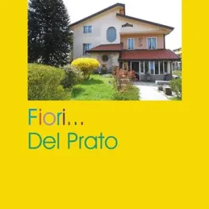 Fiori... del prato Consegna Rapida