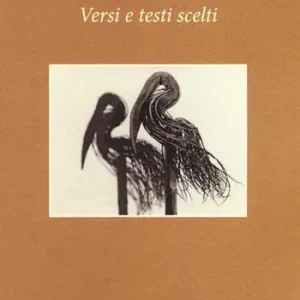 Sconto Forse potevo. Versi e testi scelti