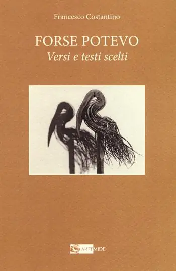 Sconto Forse potevo. Versi e testi scelti