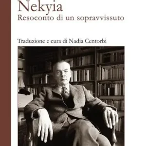 Pagamento Sicuro Nekya. Resoconto di un sopravvissuto