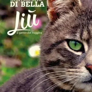 Economico Liù, il gatto che ruggiva